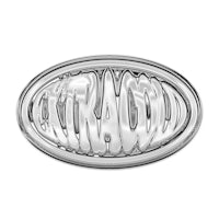 a silver oval badge with the word octavia on it